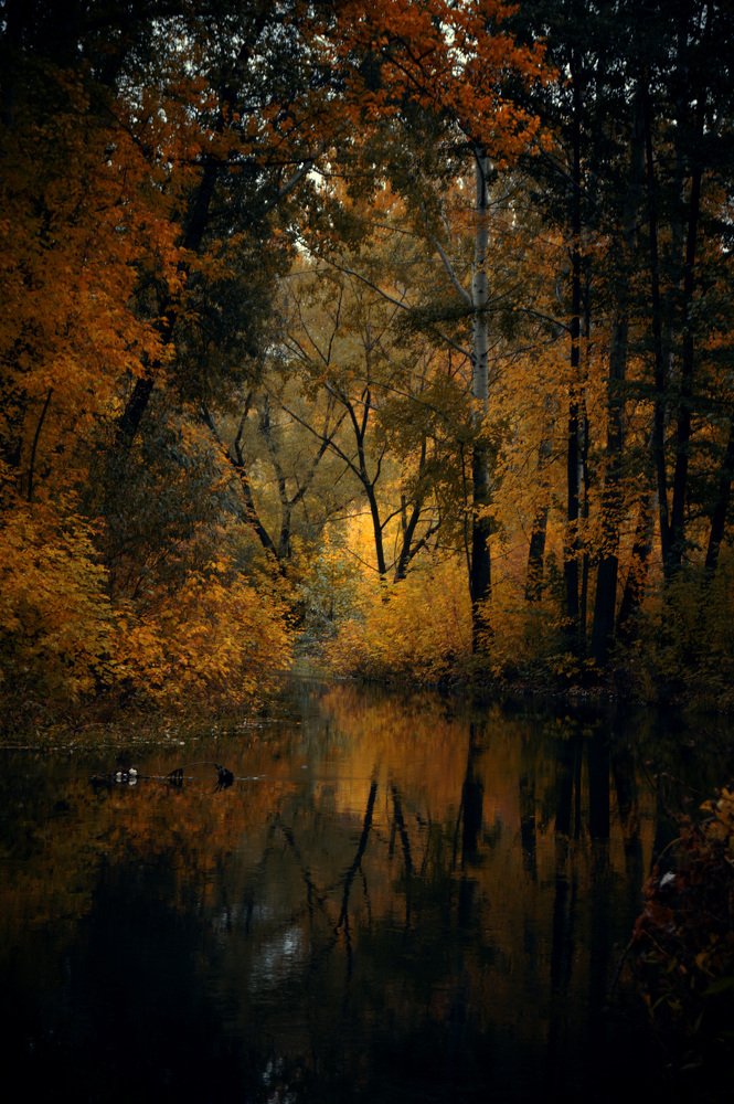 Осенний бал