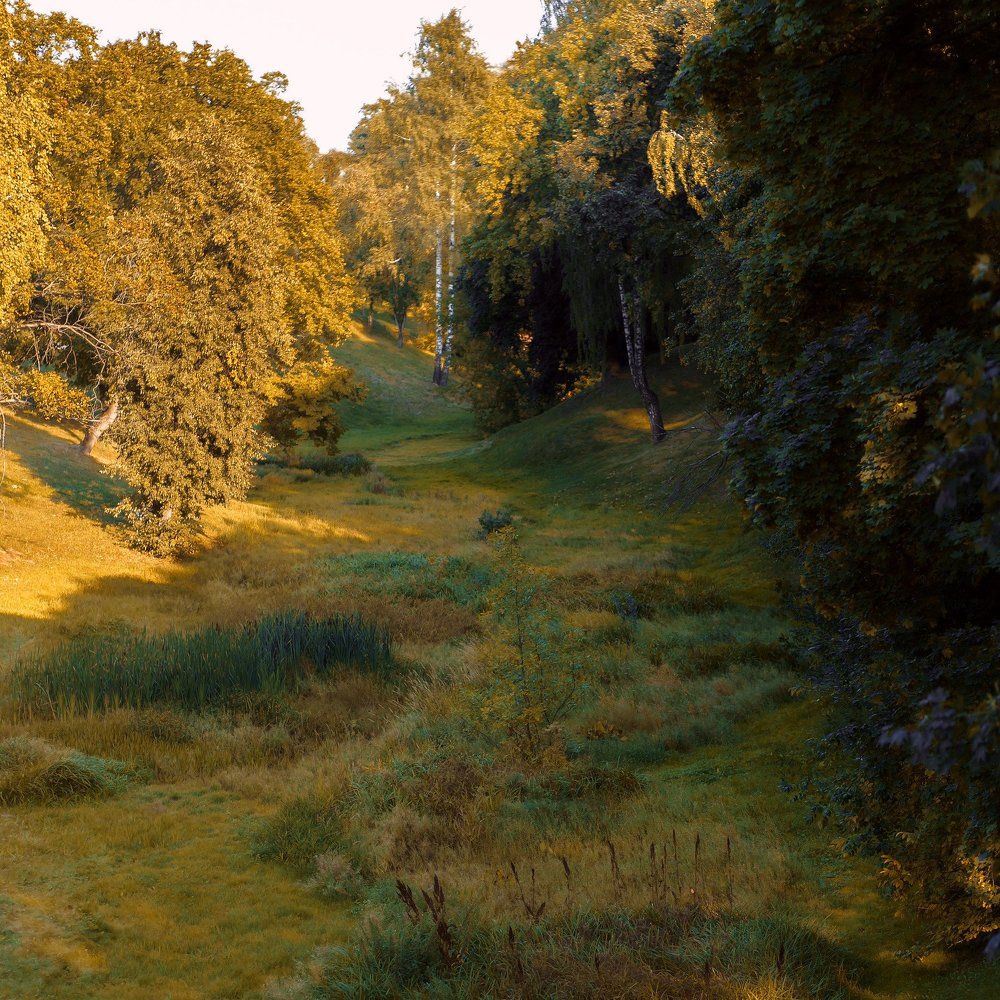 Царицынский ансамбль