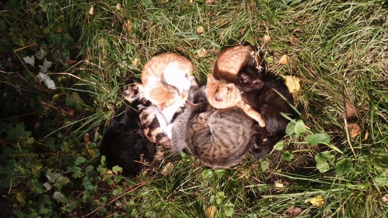 Татьяна, Russia