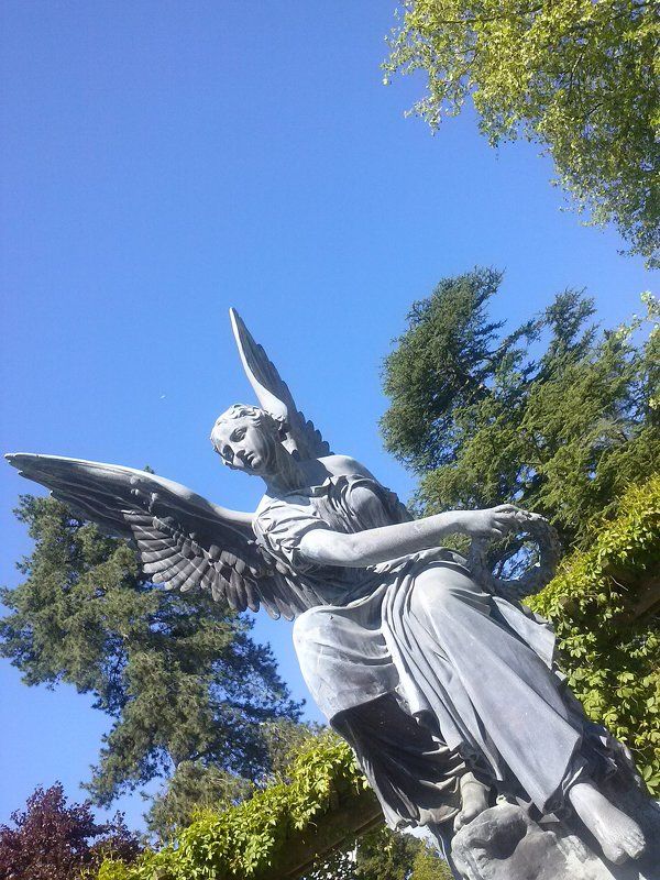 Анжелика, Russia