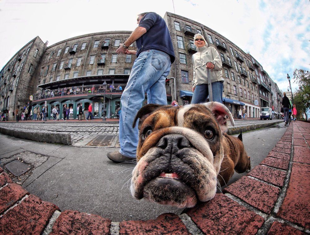 Любопытство...