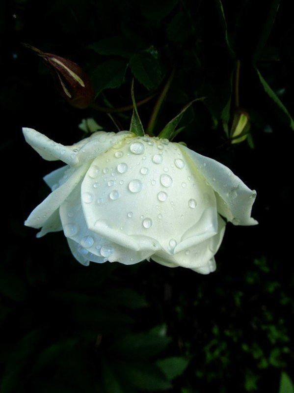 Nastya Myakinina, Russia