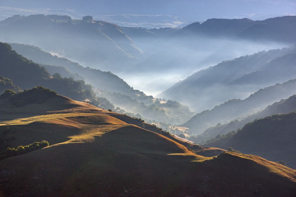 УТРО ТУМАННОЕ