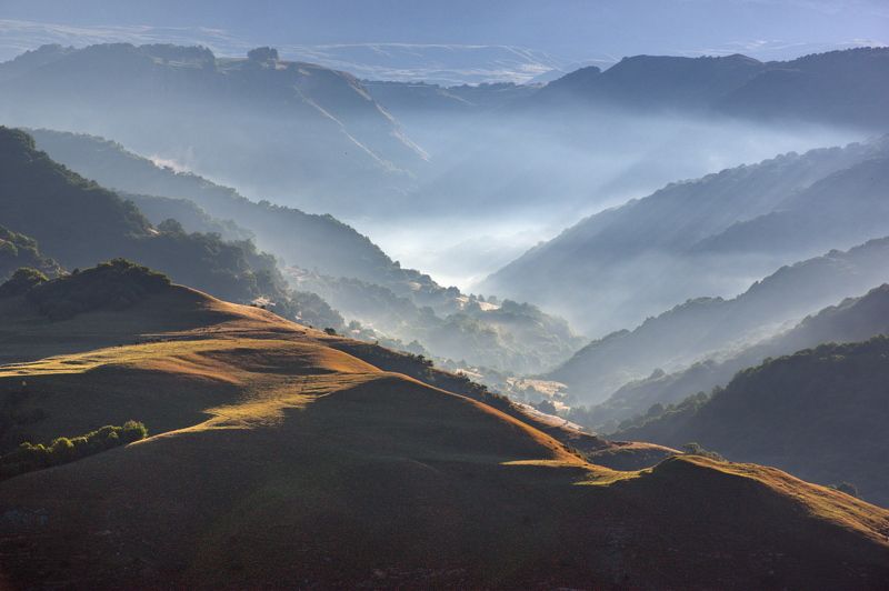 ARSEN ALABERDOV, Russia