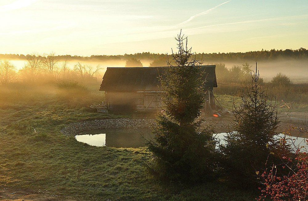 Утро в деревне