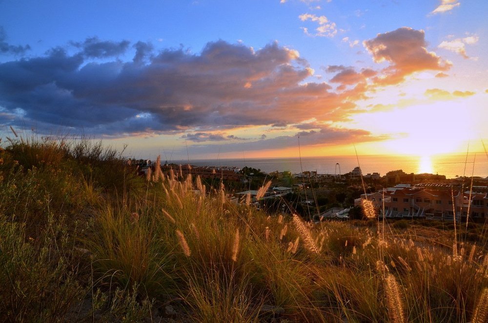 Вечернее солнце.