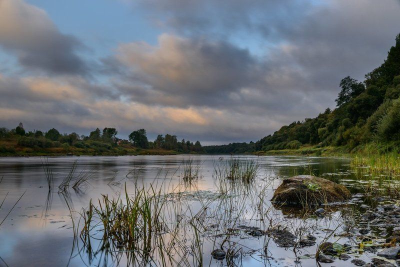 Сергей Горбачев, Russia