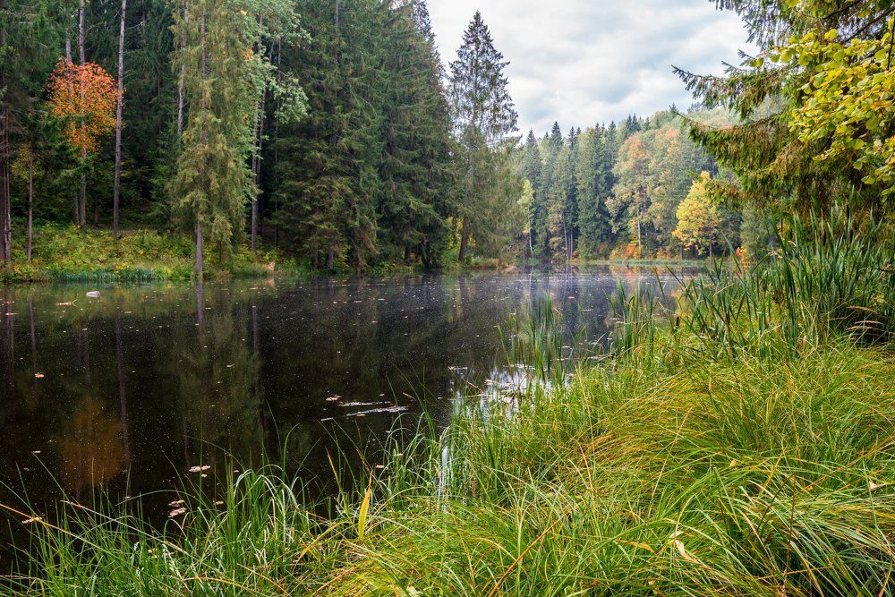 Photograph by Сергей Горбачев