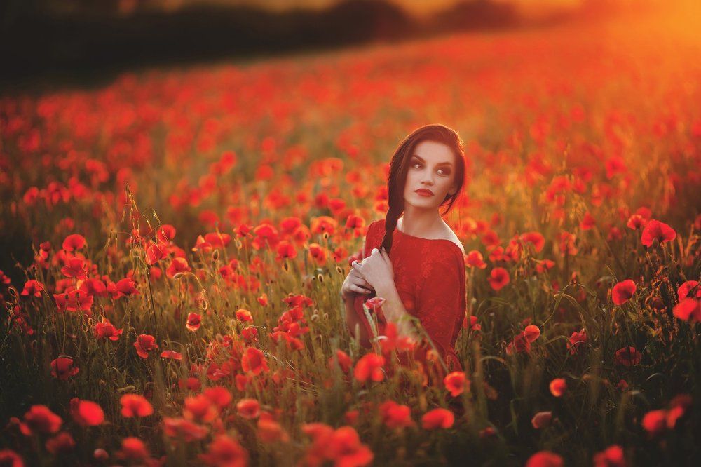 Среди маков