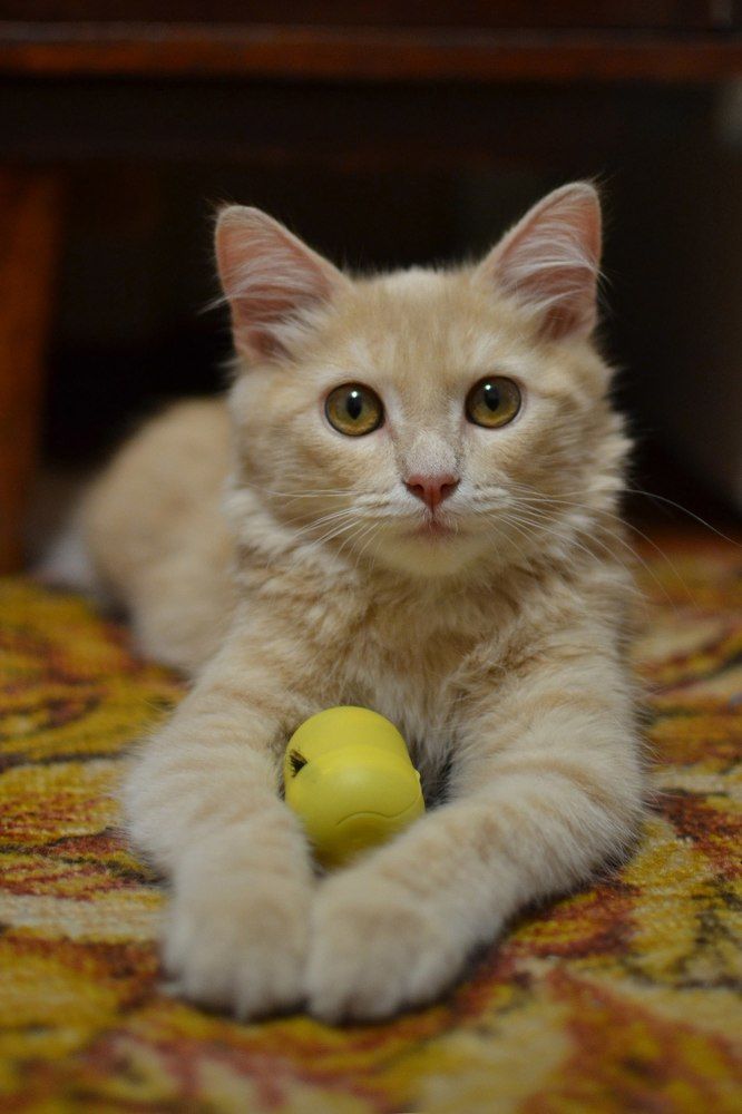 Photograph by Татьяна