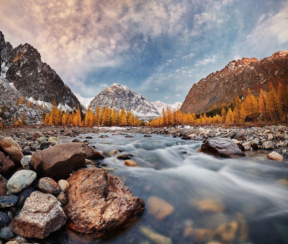 Золото Алтая