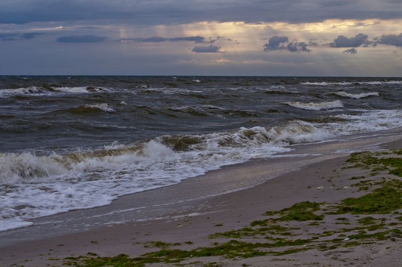 Александр, Ukraine