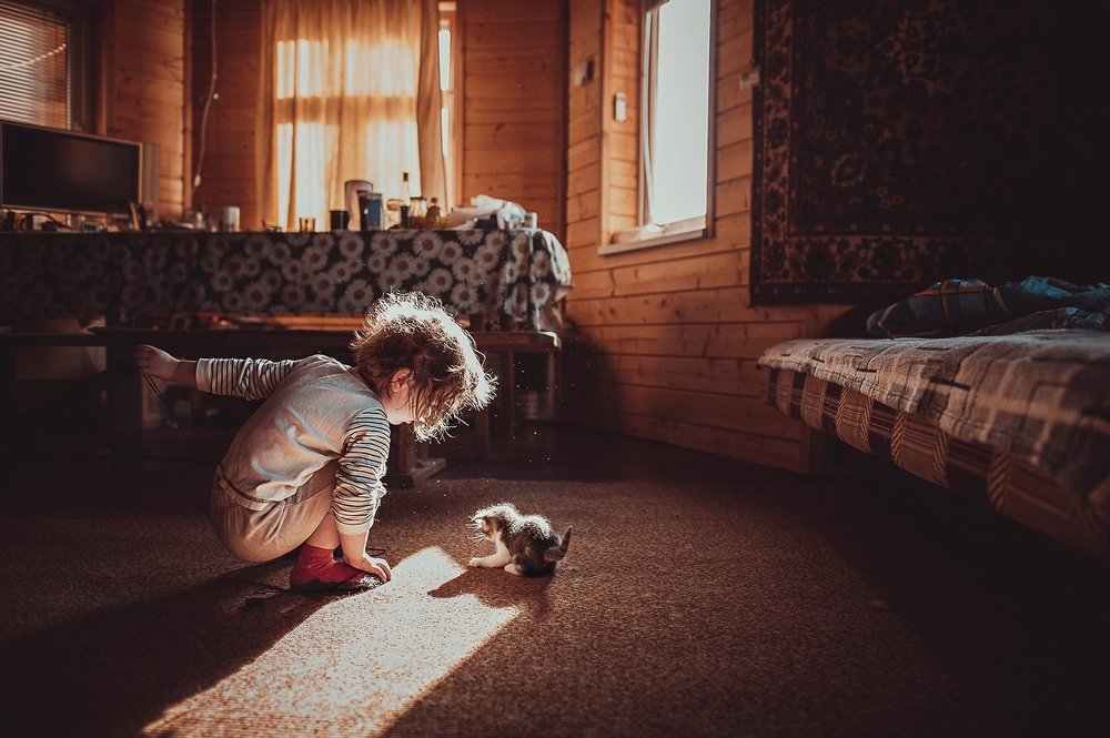 Два лохматика