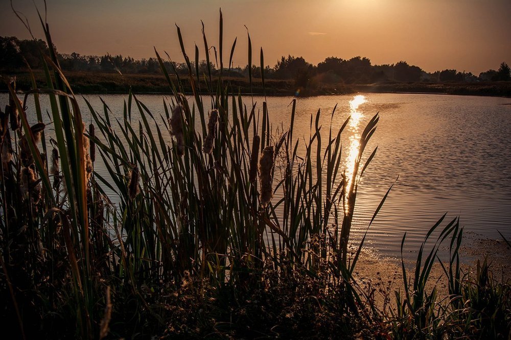 Последние лучи перед закатом