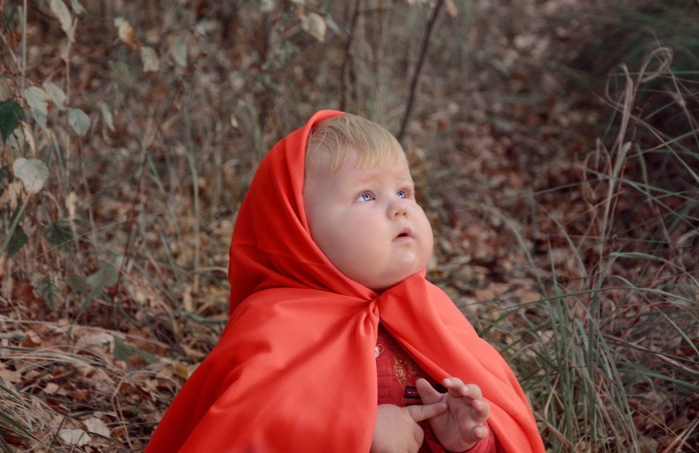 Красная шапочка