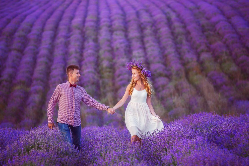 "Крымский прованс"