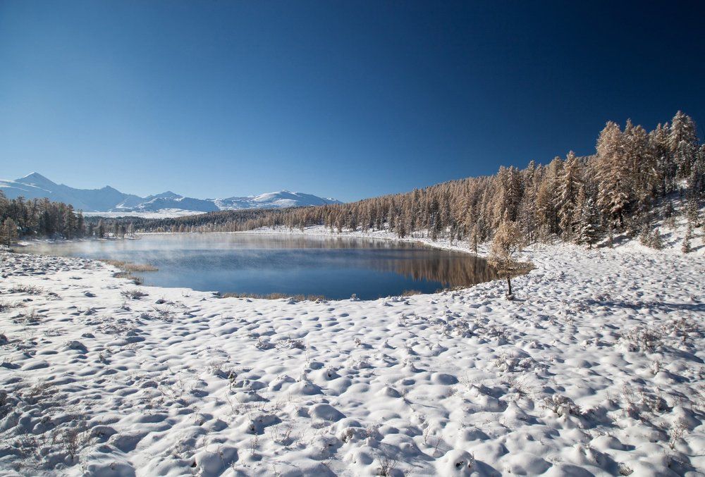 Глазурность