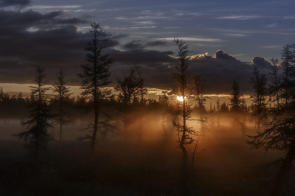 "Рассветный час"