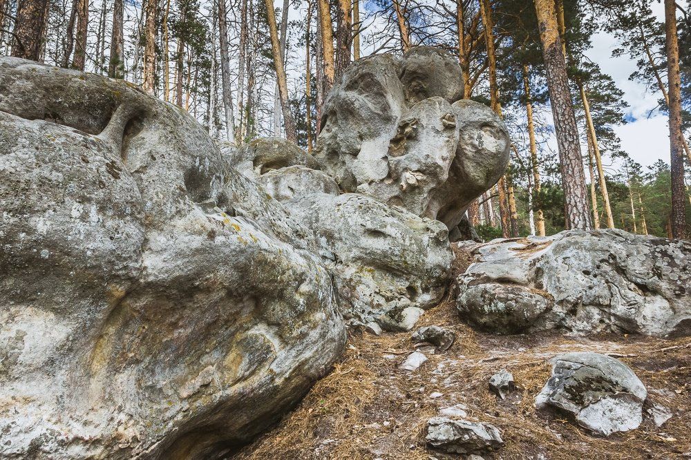 Валун Мыслитель