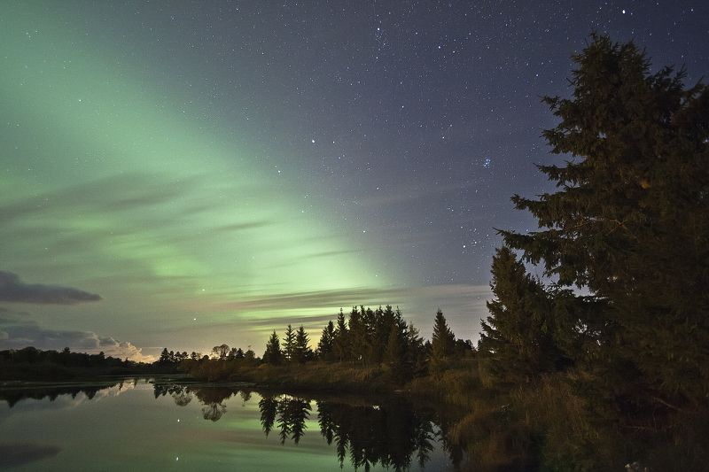Dmitri Krzhechkovski, Estonia