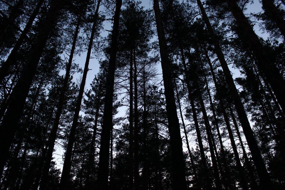 Где чудеса – обычное явленье, Где что-то сверху чуть коснулось нас