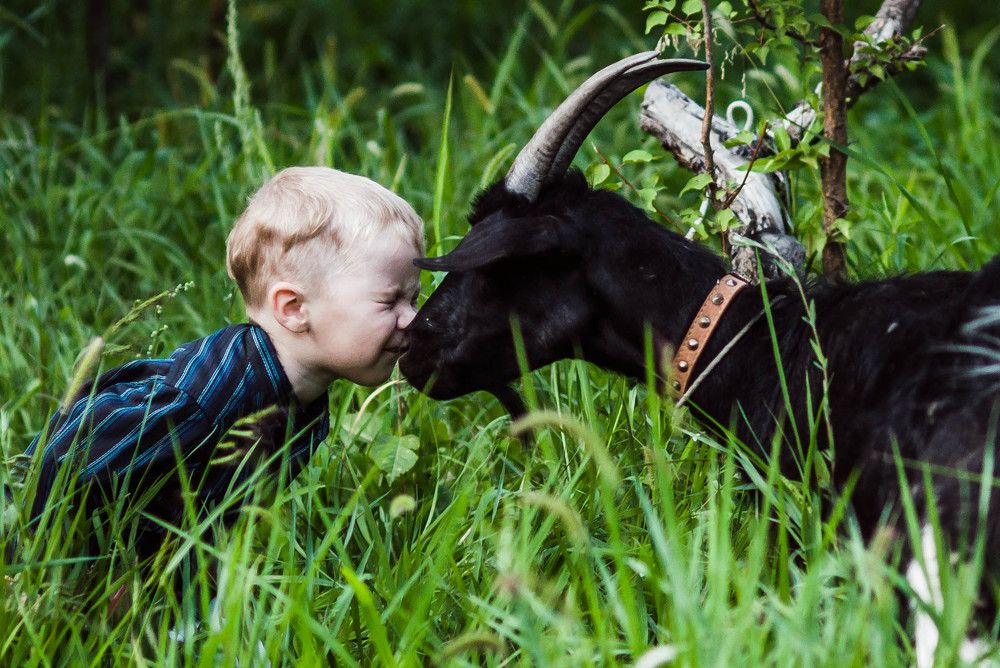 Photograph by Евгения Ежова