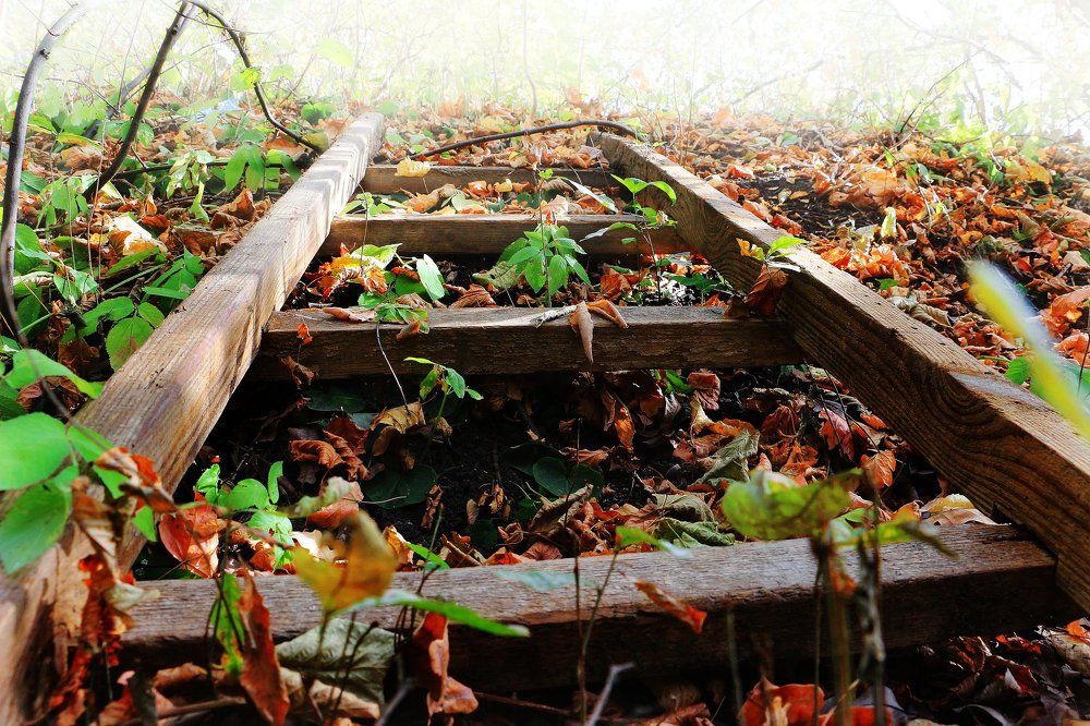 Photograph by Олег Микиша