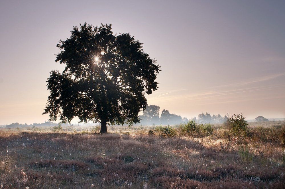 You are so beautiful...