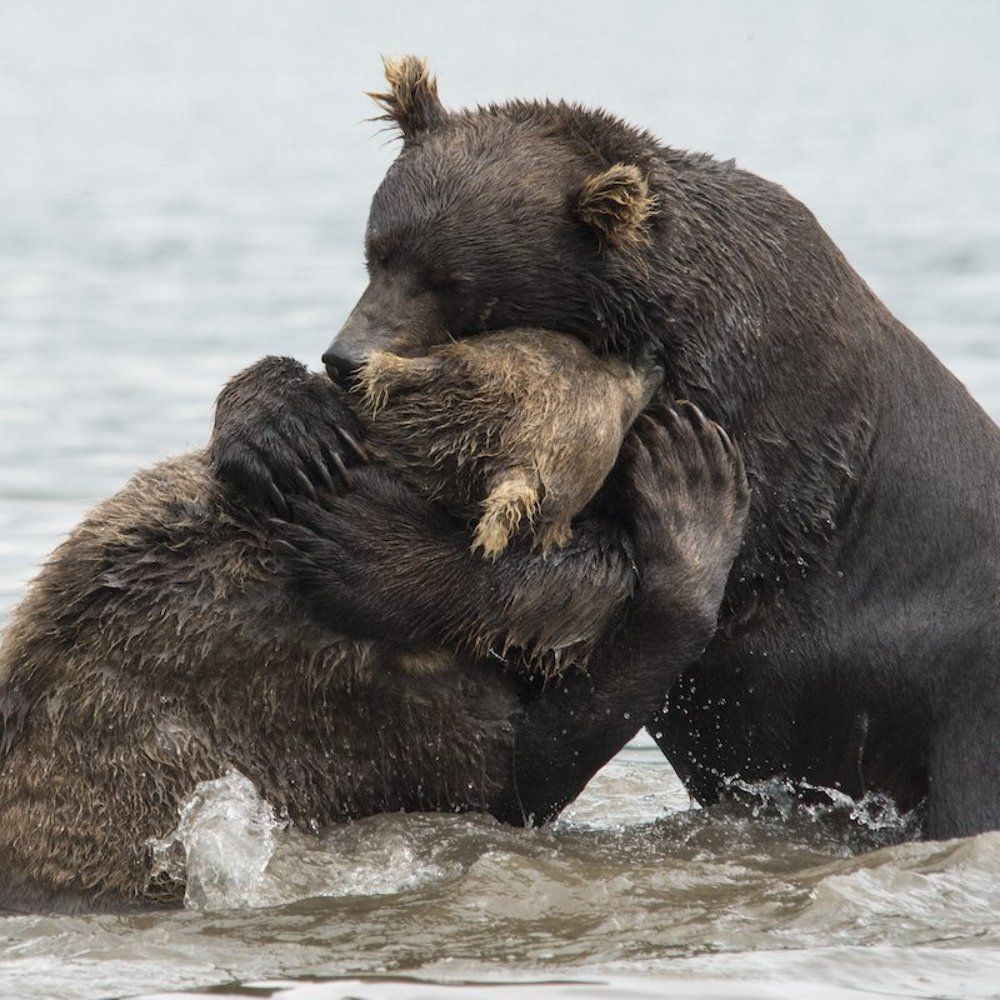 А если это любовь?