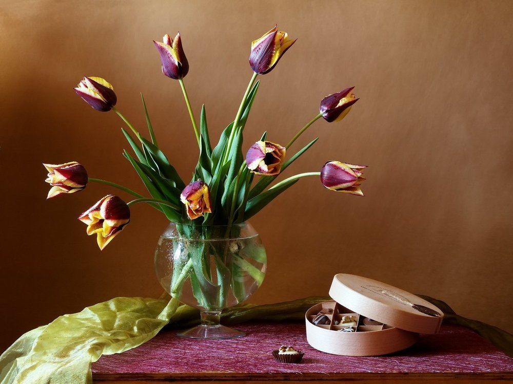 Весеннее удовольствие.