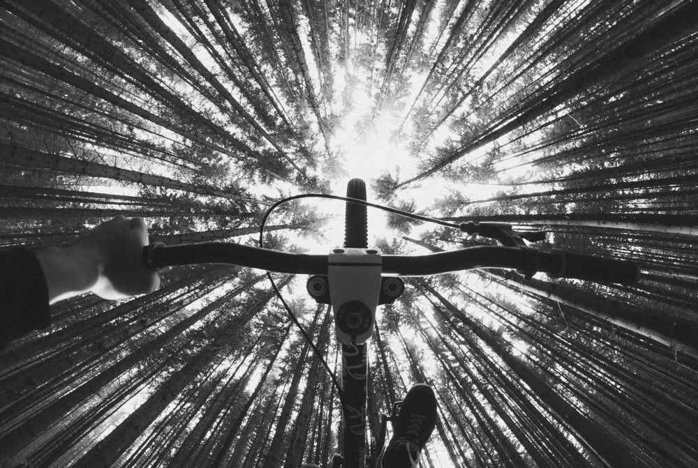 в центре полёта :)