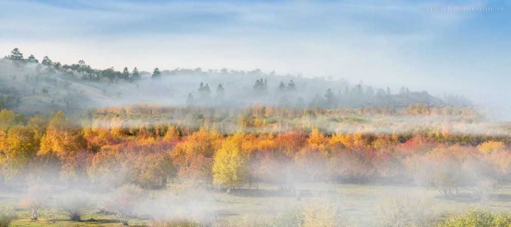 Осеннее утро