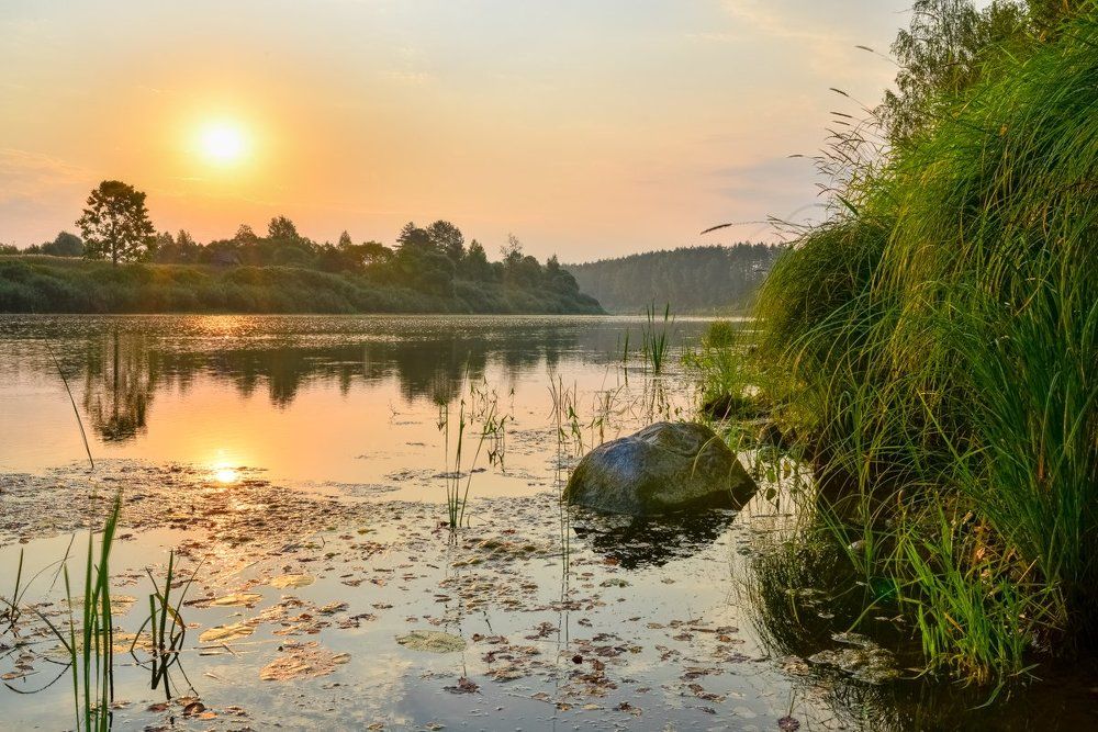 Photograph by Вячеслав Григорьевич Синица