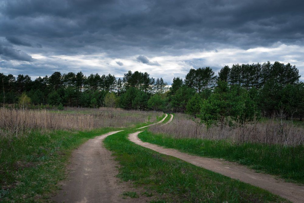 Photograph by Вячеслав Григорьевич Синица