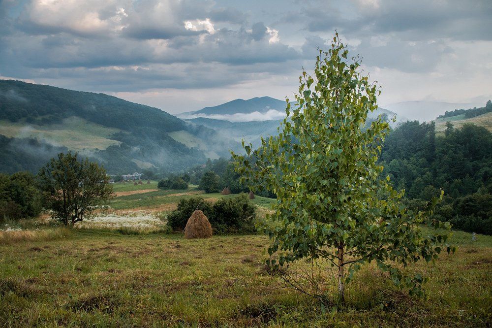 после грозы