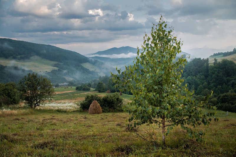 Сергей, Ukraine