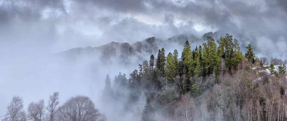 Лесной остров