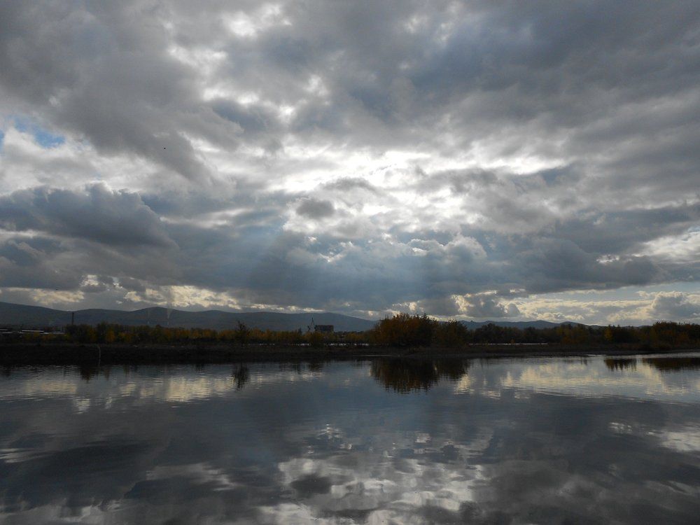 Photo #999219