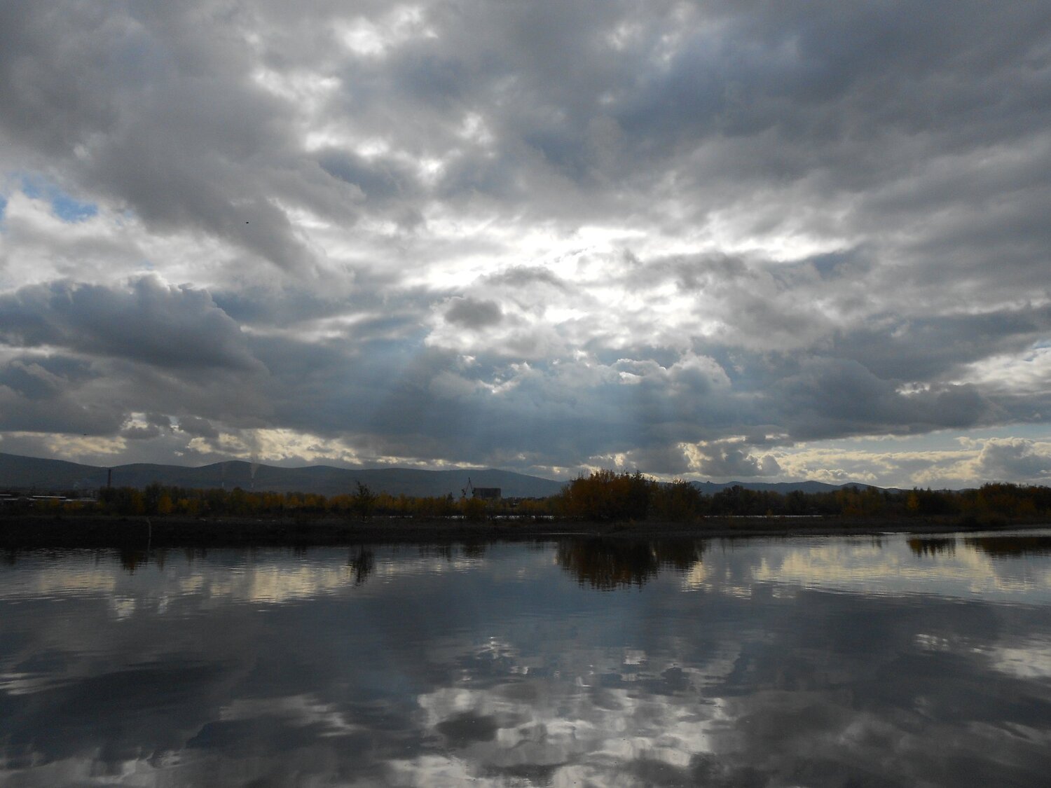 Photo #999219