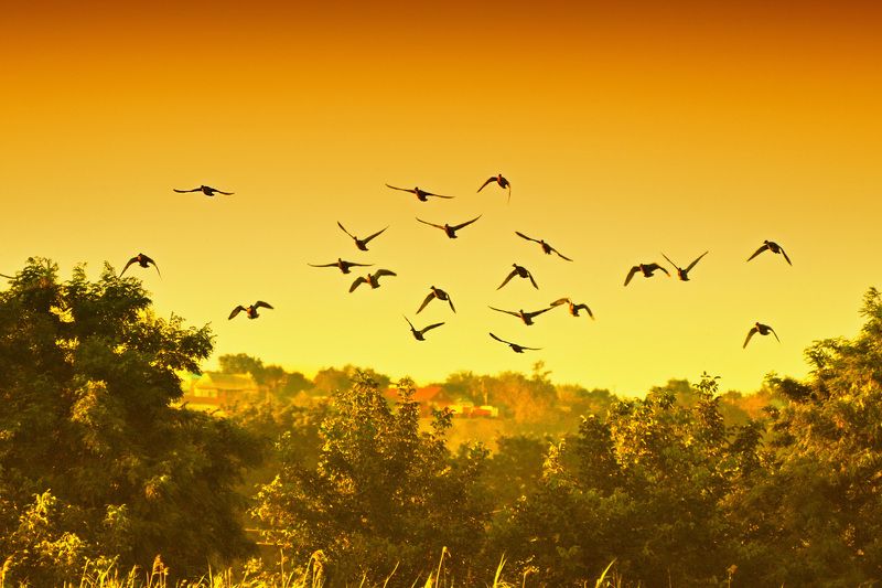 Стихия Марина, Russia