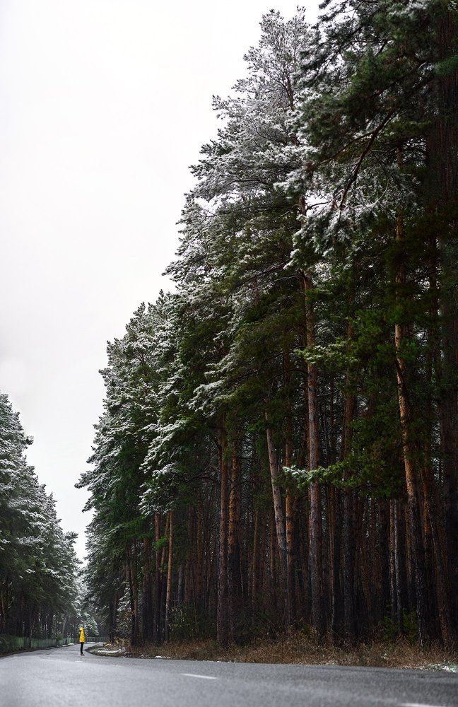 Мы все здесь гости