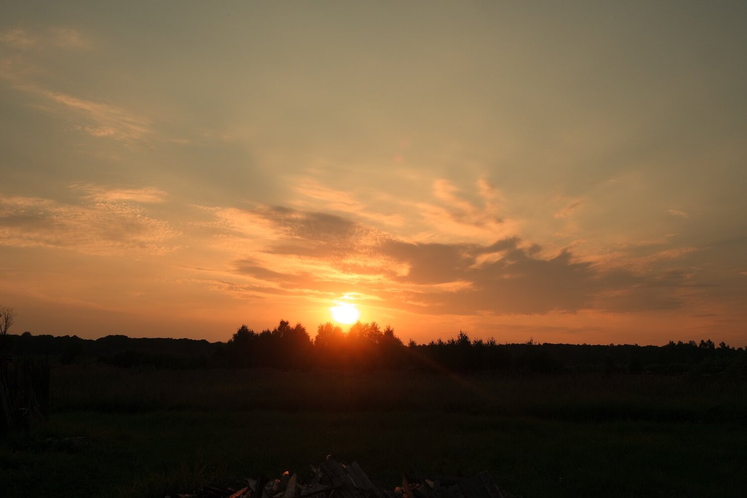 Photo #999340
