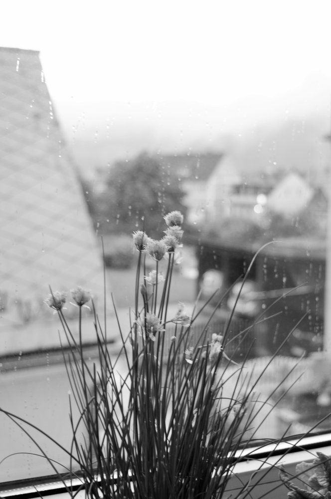 Photograph by Krystyna