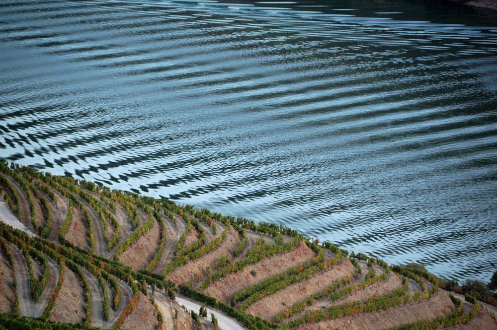 Фотография автора Андрей