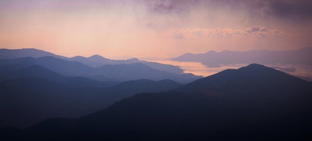 Photograph by Егор Дейнека