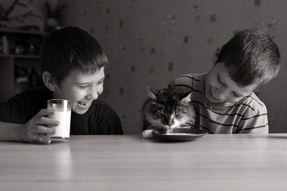 Завтрак на троих