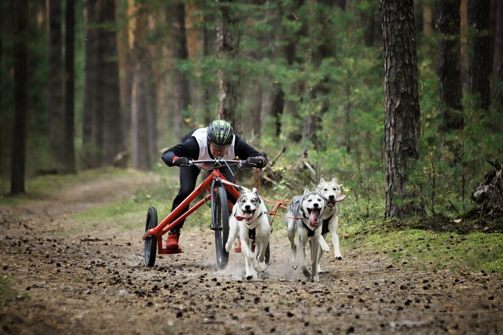 Photograph by Елена Кириллова