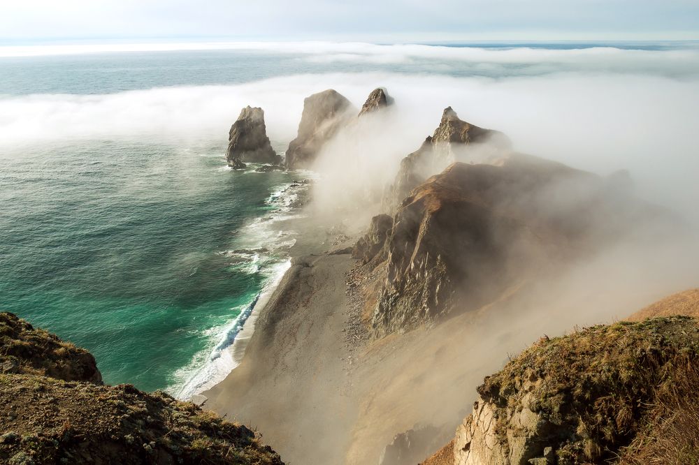 Фотография автора Рита Науменко