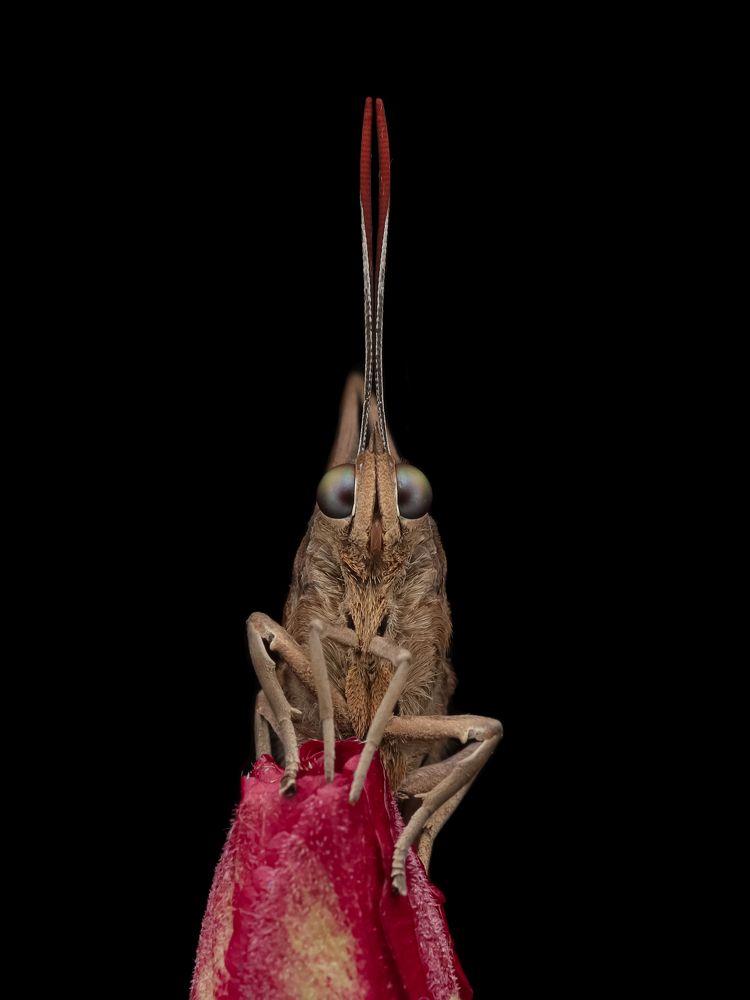 Photograph by sunil kumbar