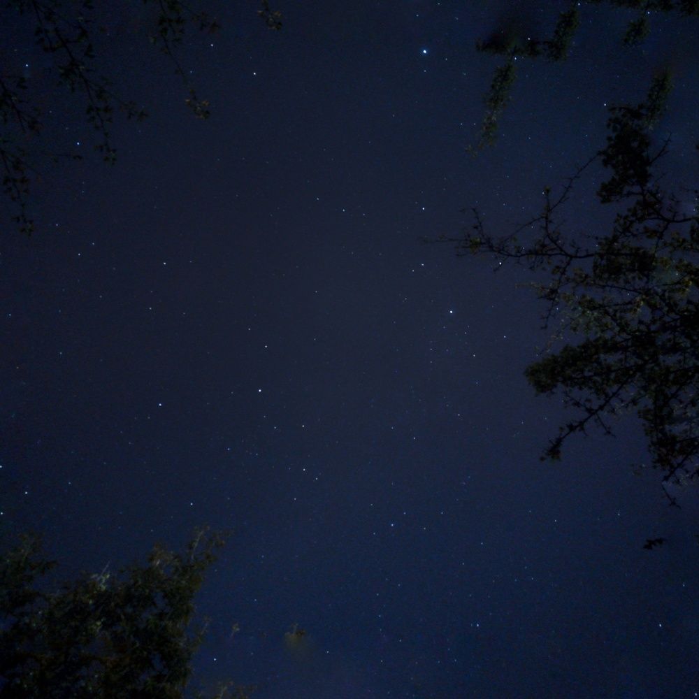 Фотография автора Геннадий Ломеко